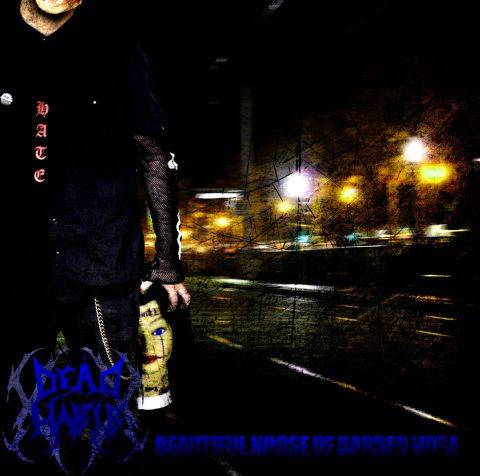 Beautiful Noose of Barbed